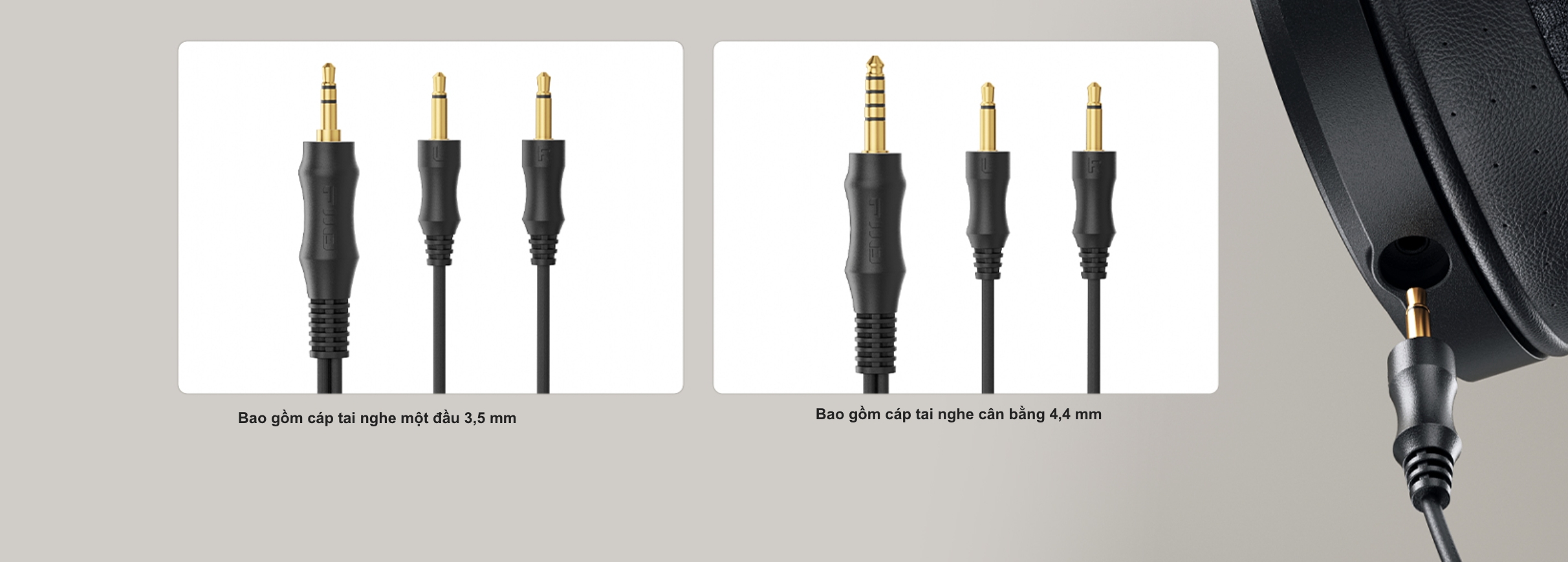 FiiO JT7 – Tai Nghe Planar Magnetic Open-Back Đã Sẵn Hàng Tại Fitgearshop!