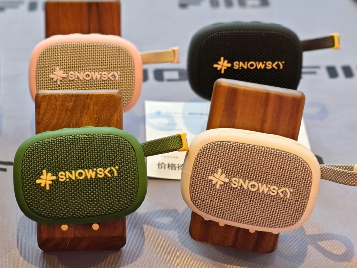 FiiO SNOWSKY Ahywhere