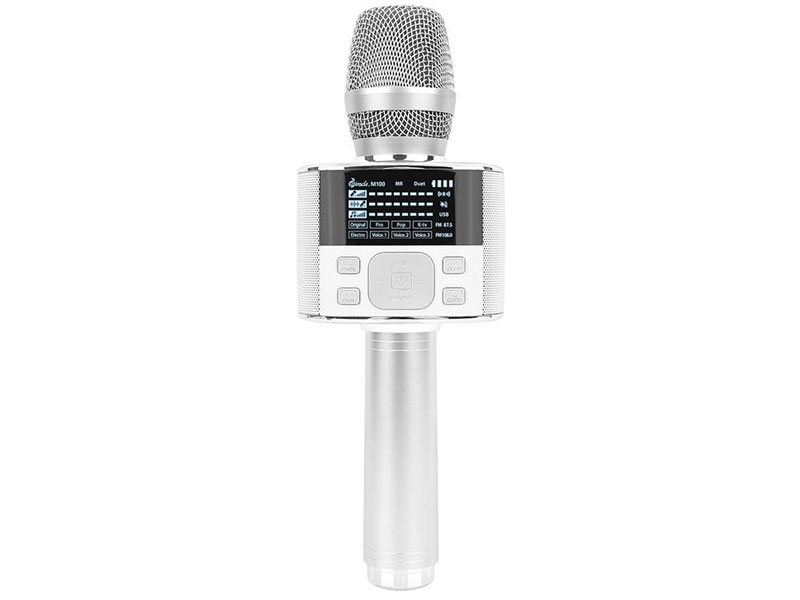 Micro Karaoke Miracle M100 