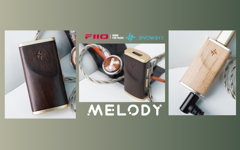 FiiO SNOWSKY MELODY đã sẵn hàng tại Fitgearshop - Đặt Mua Ngay