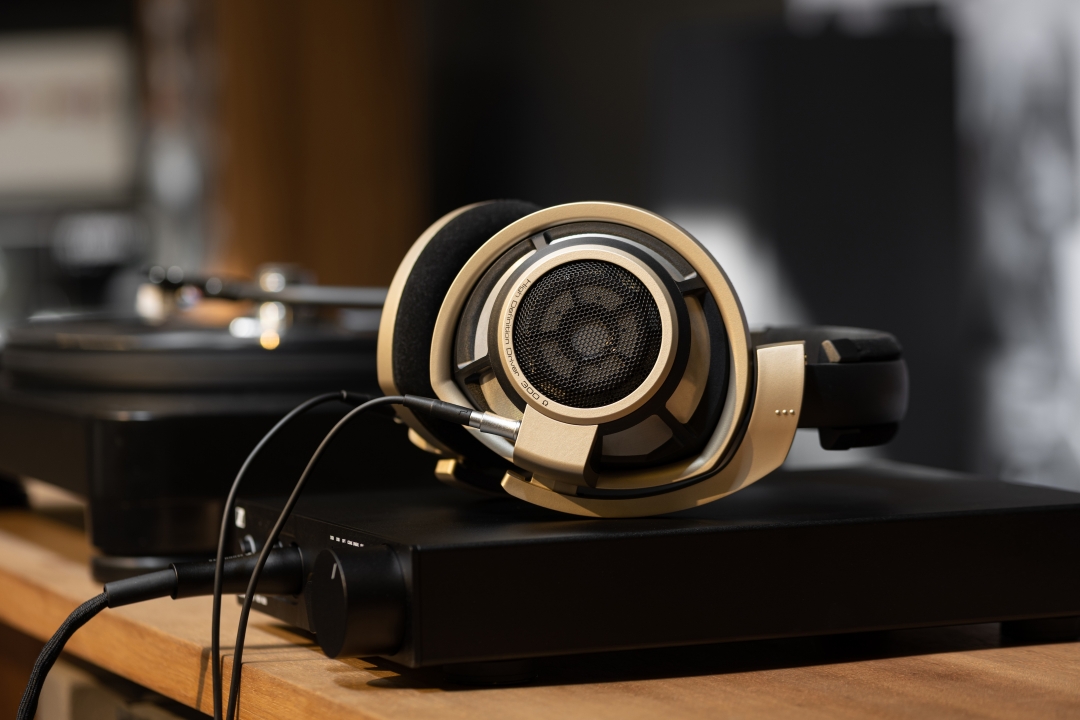 HD 800 S Anniversary Edition - Phiên Bản Màu Vàng Giới Hạn Đặc Biệt