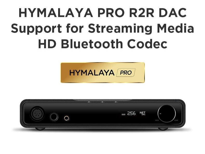 HiFiMan Serenade: Bộ DAC/AMP Cao Cấp với DAC Hymalaya Pro R-2R Độc Quyền
