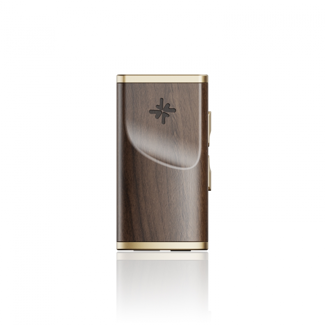 FiiO SNOWSKY MELODY
