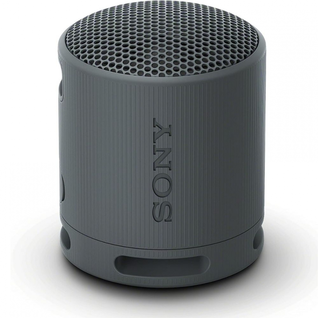 Sony SRS-XB100